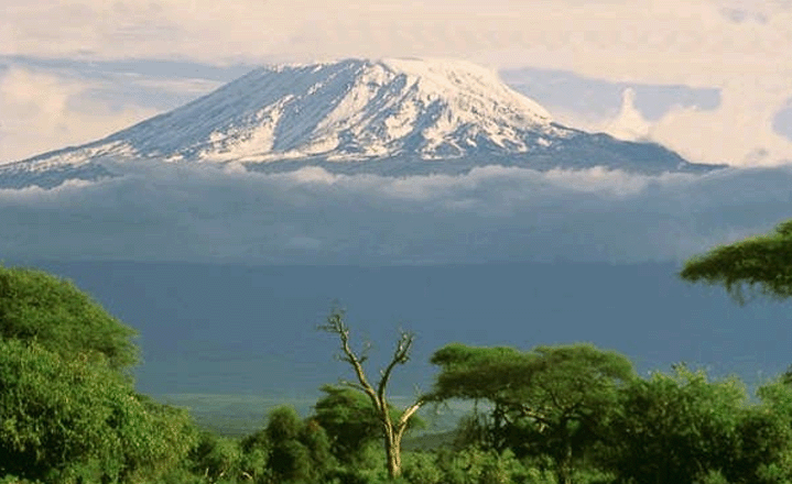 Kilimanjaro - Africa